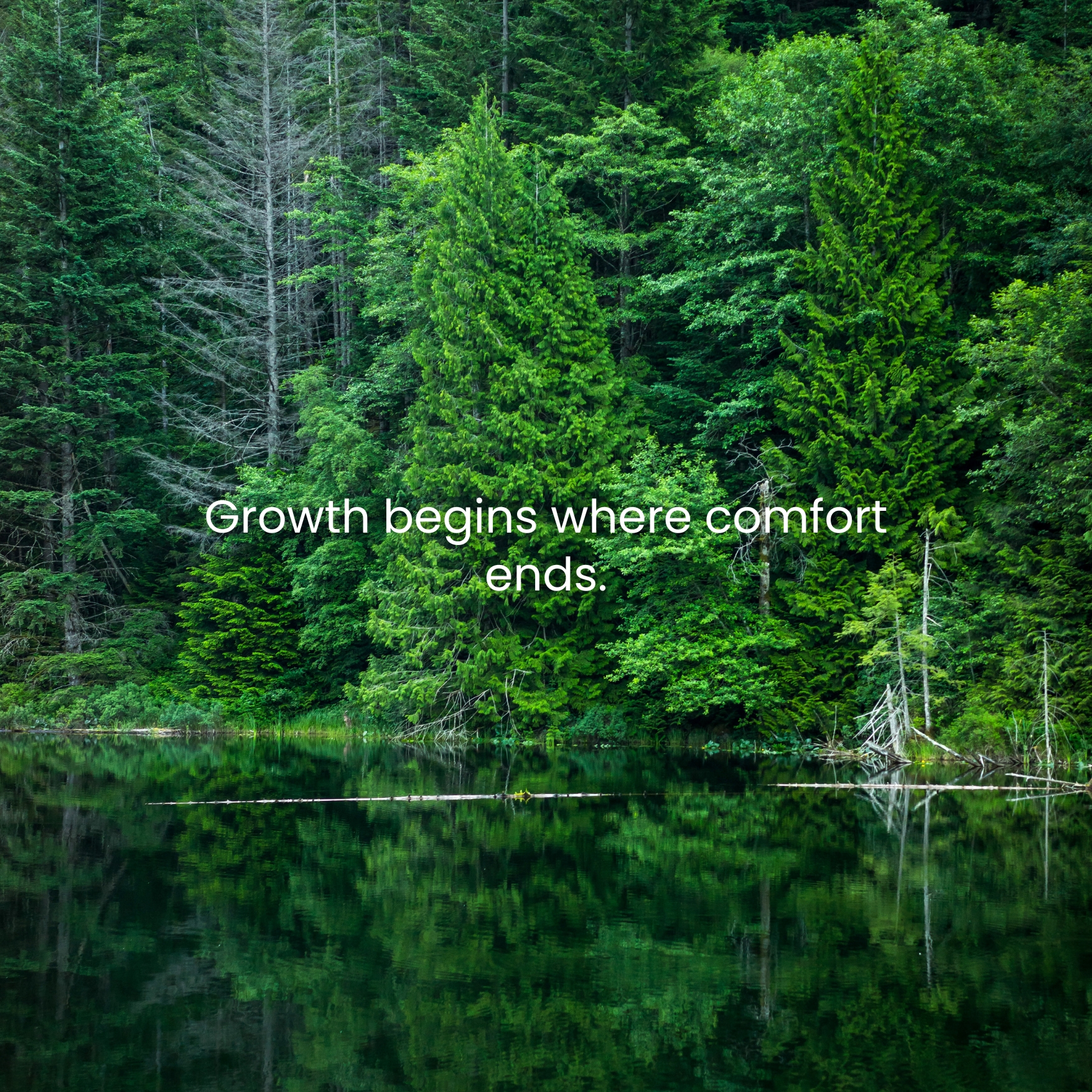 Growth Quotes